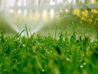 Lawn irrigation